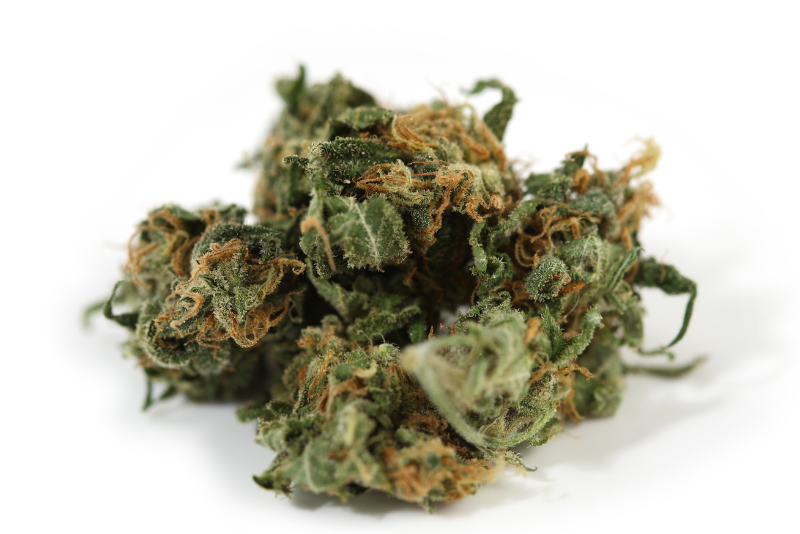 Weed