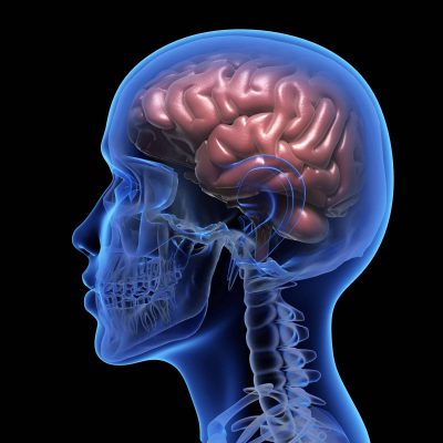 Human brain. Is heroin a stimulant? Addicted to heroin, Heroin addiction, Heroin Addiction treatment, heroin overdose, heroin withdrawal symptoms, What is heroin, Heroin addiction symptoms.